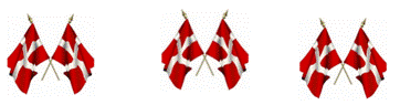 Et billede, der indeholder person, tj, harmonika, harmonikaspiller

Automatisk genereret beskrivelse